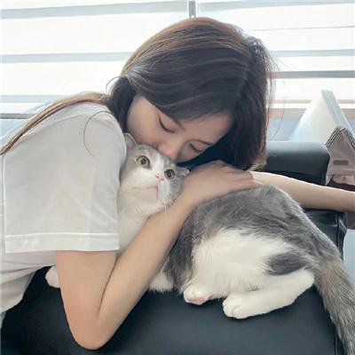 维京狼